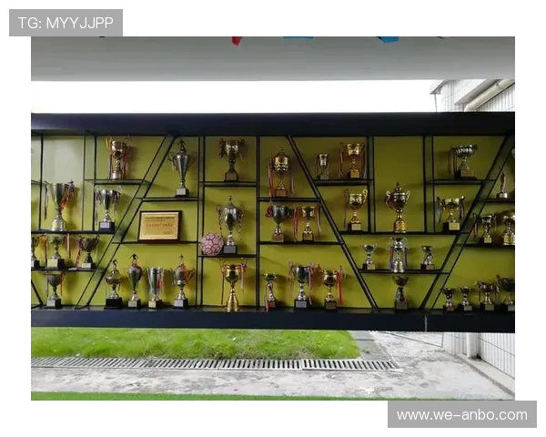 体育教师网：专业指导与校园运动创新实践平台